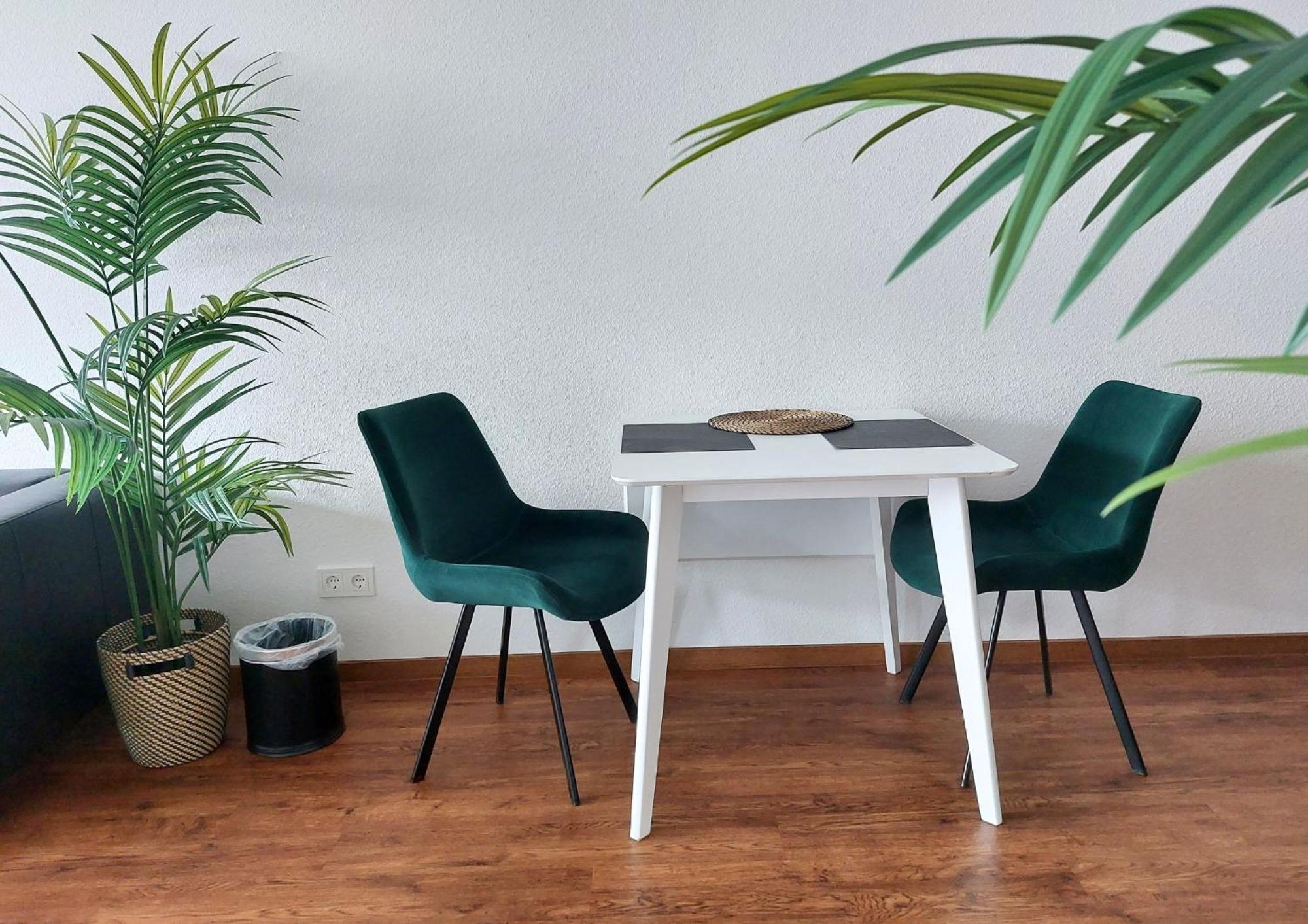 Rooftop - Modernes Studioapartment Fuer 3 Personen Langenau
